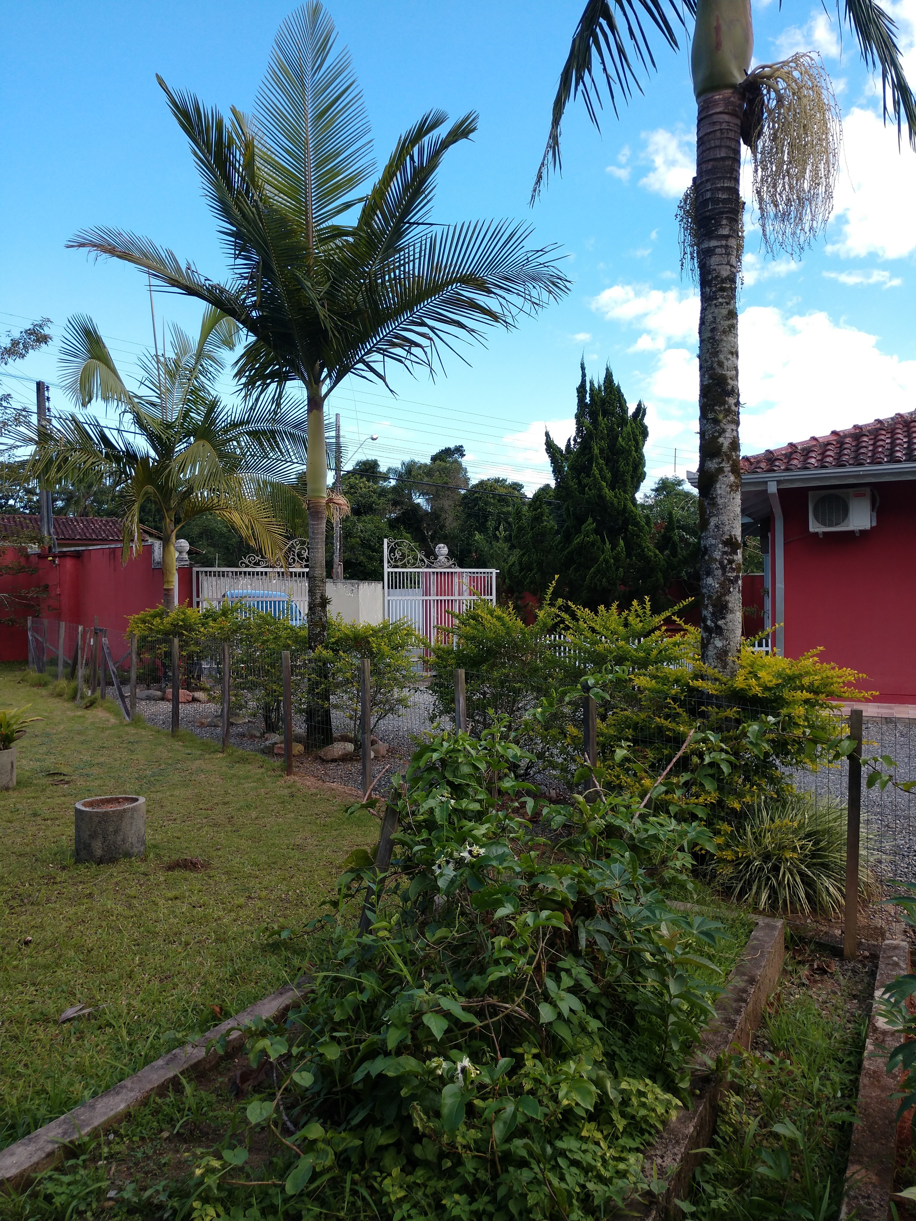 Casa, 3 quartos - Foto 19