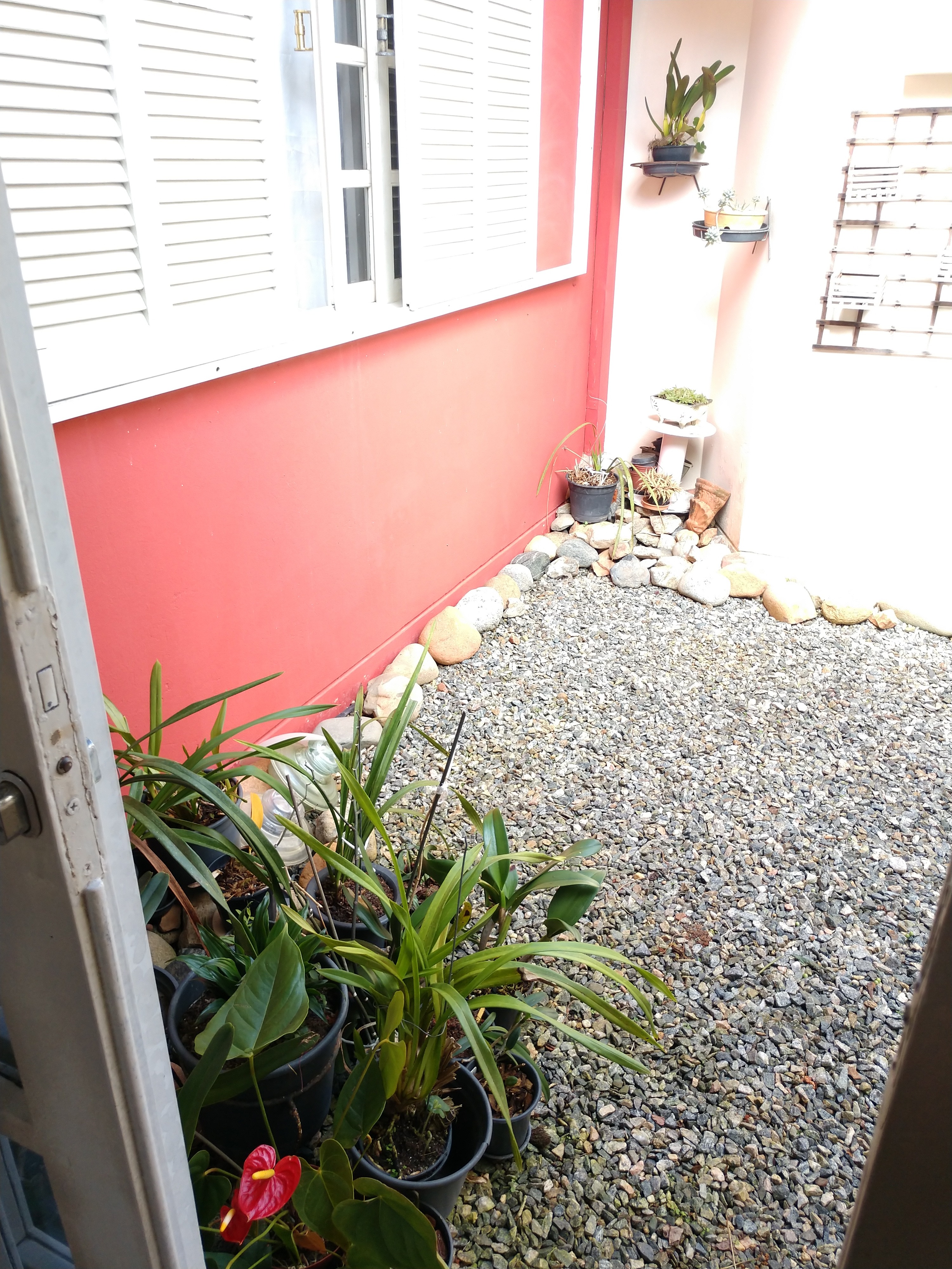 Casa, 3 quartos - Foto 35