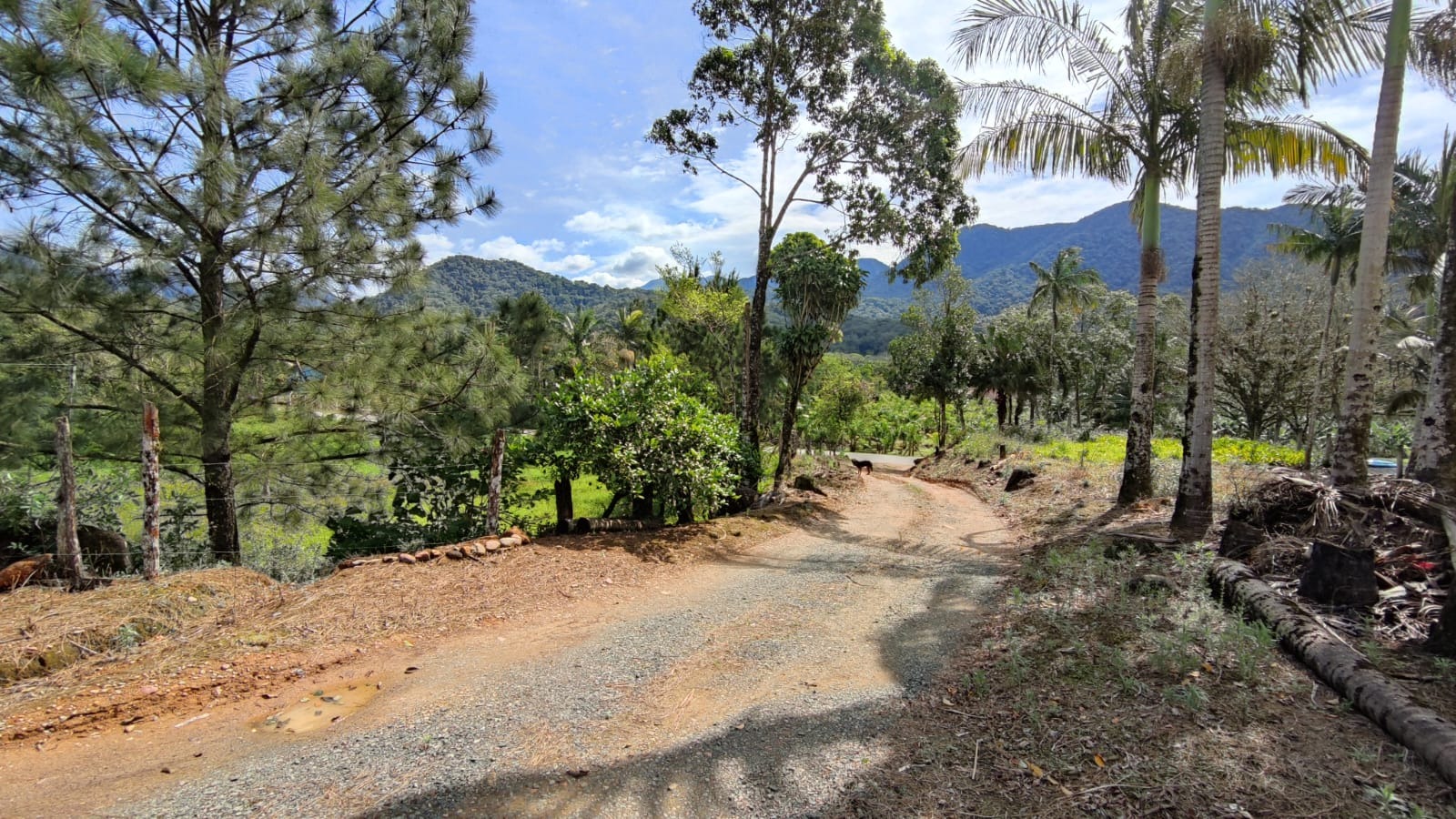 Chácara, 6 quartos - Foto 12