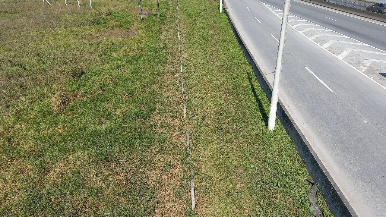 Loteamento e Condomínio, 2 hectares - Foto 2