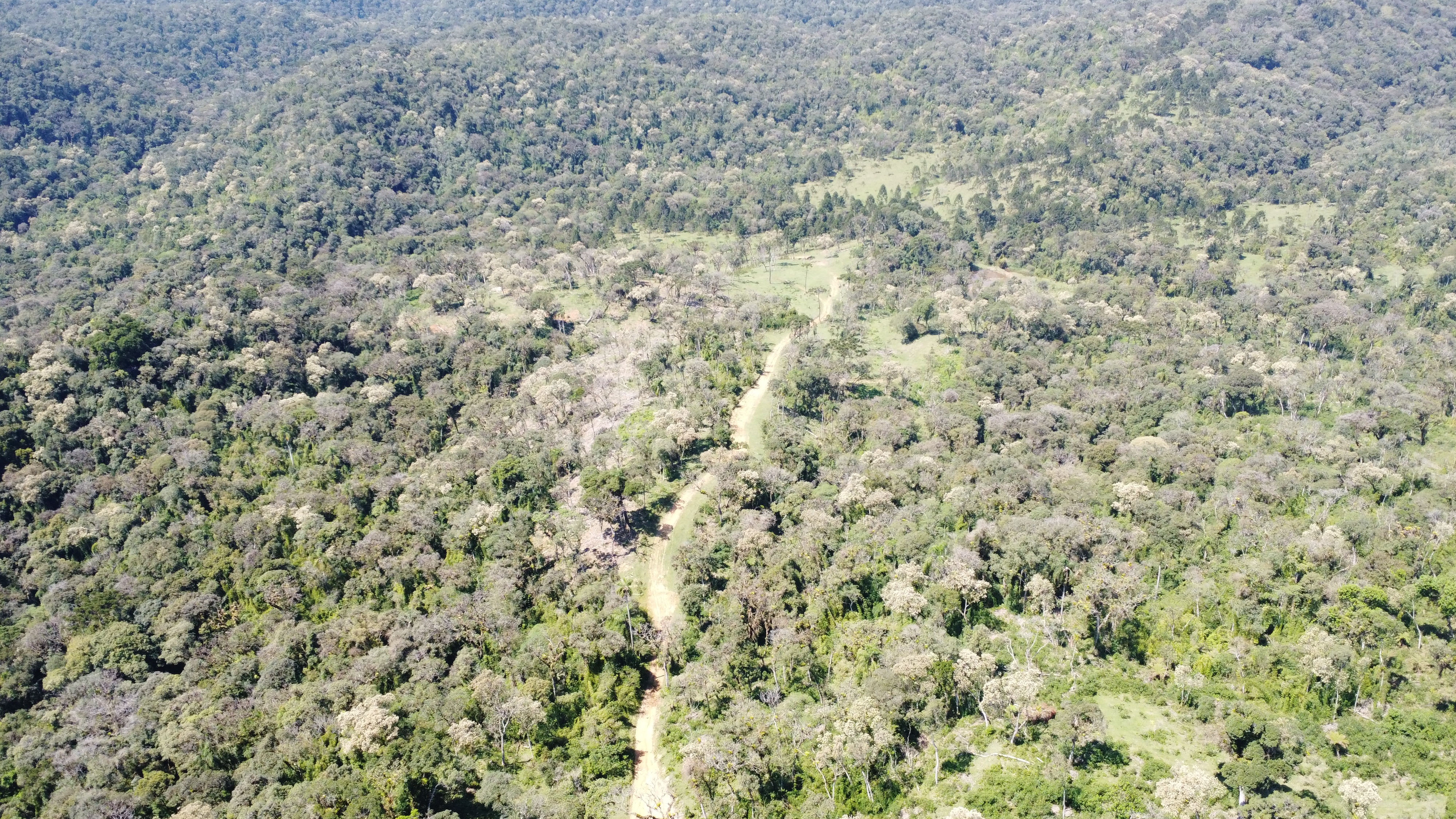 Terreno, 123 hectares - Foto 6