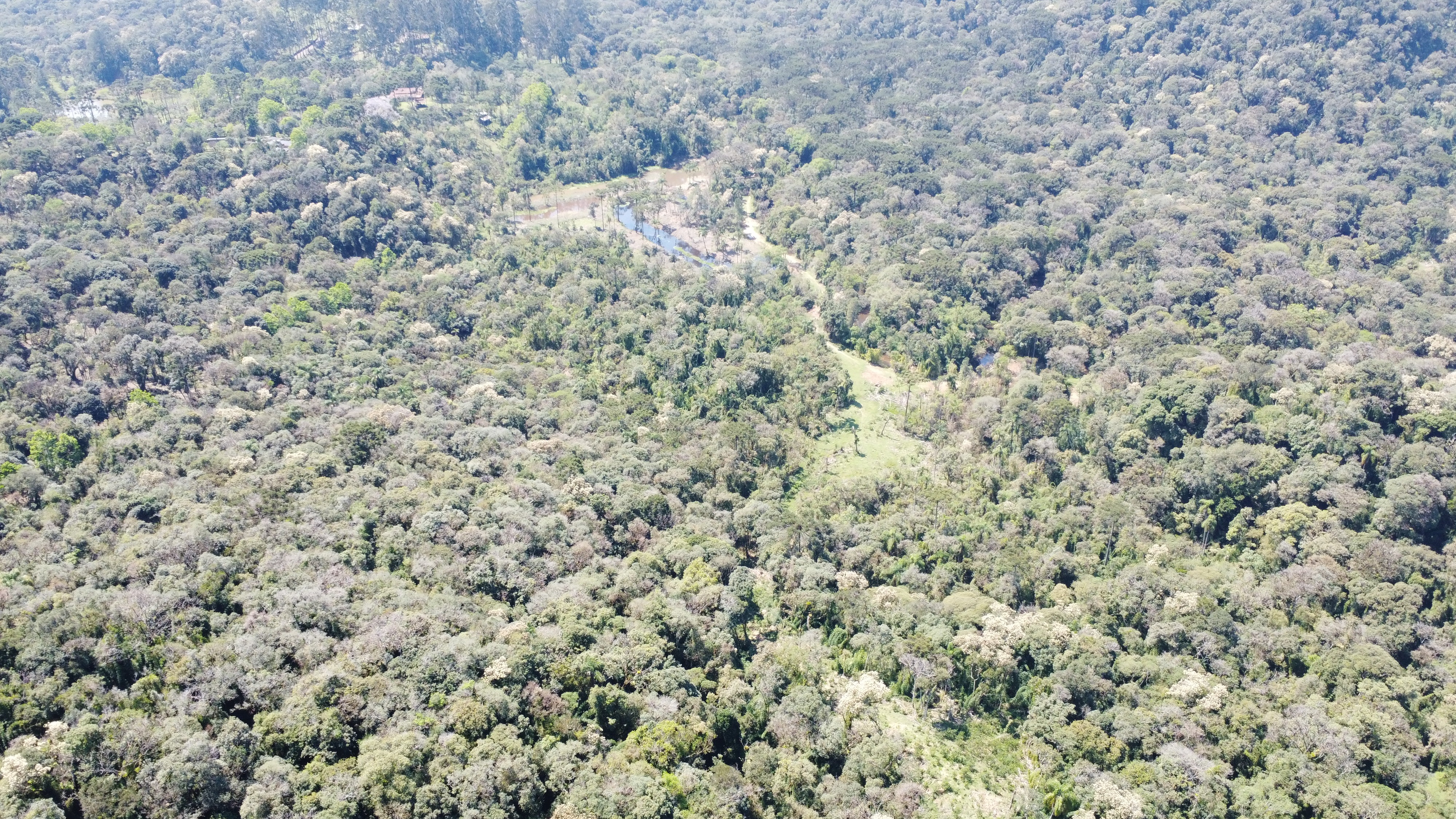 Terreno, 123 hectares - Foto 7
