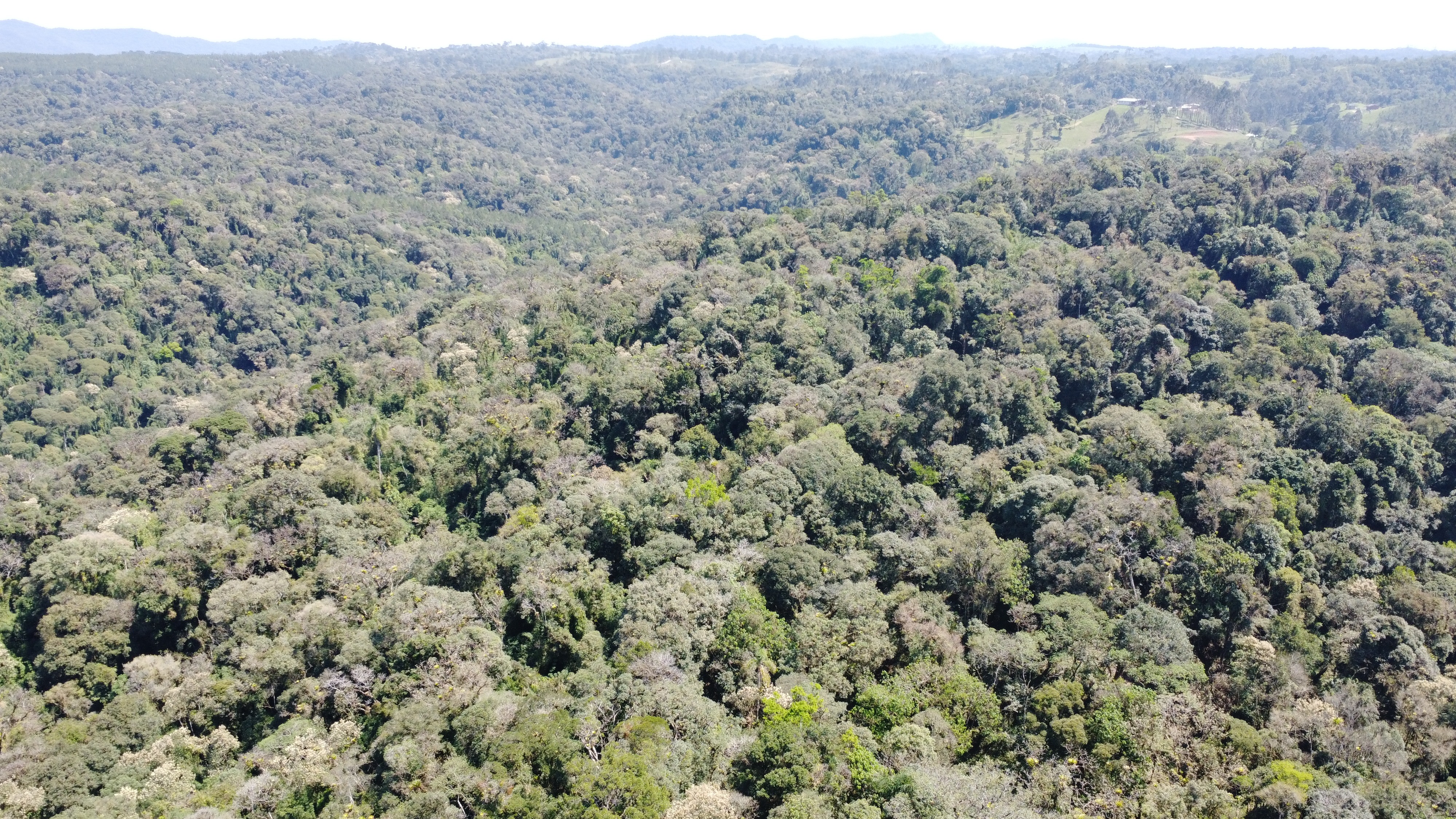 Terreno, 123 hectares - Foto 8