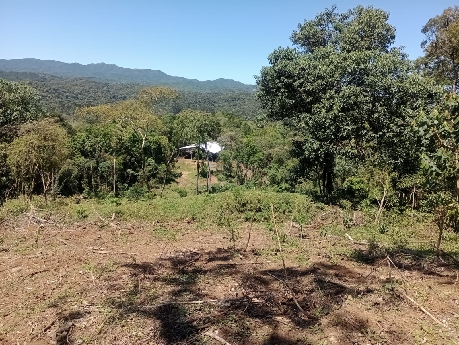 Terreno, 123 hectares - Foto 2