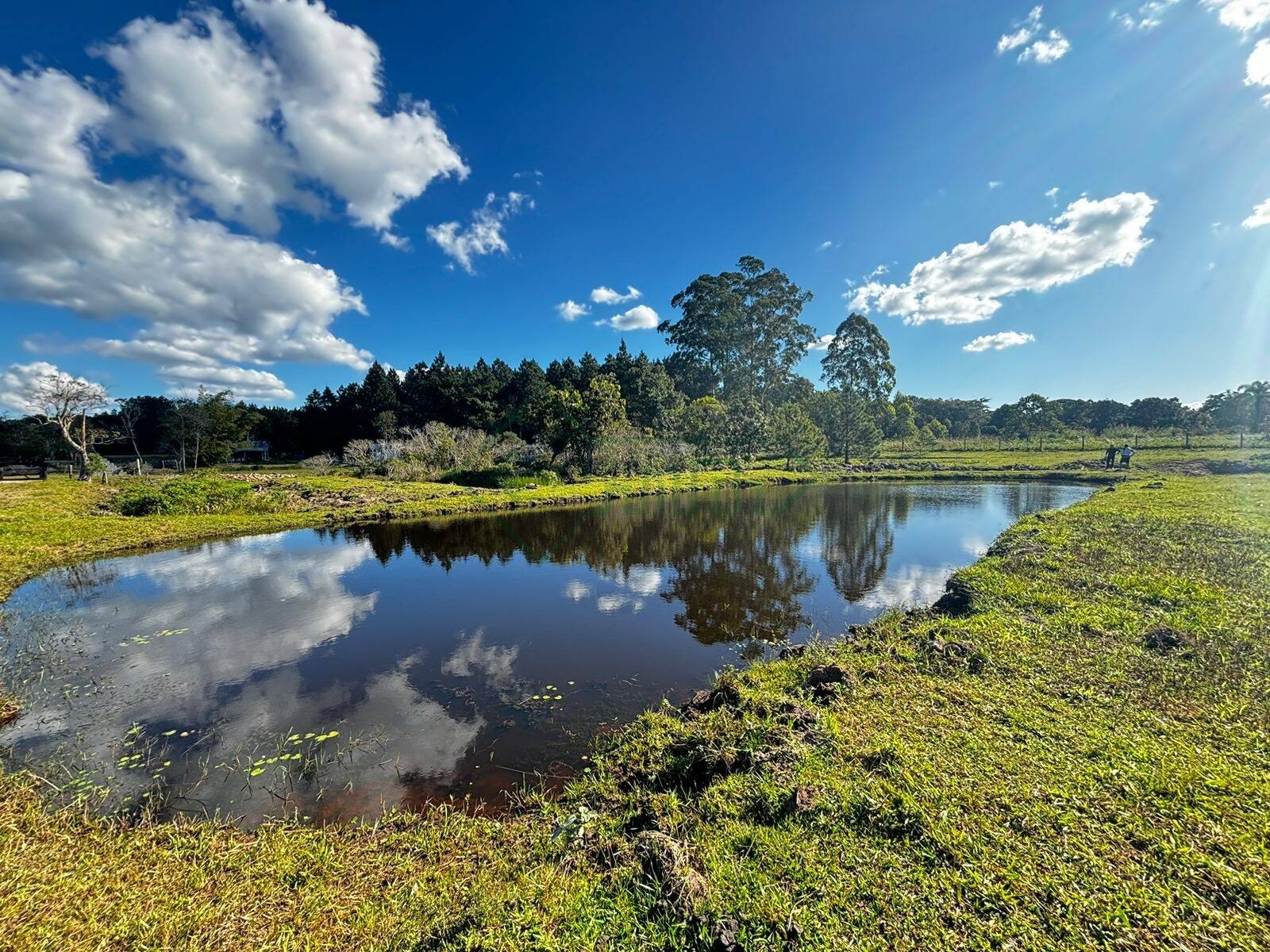 Chácara, 4 quartos - Foto 27