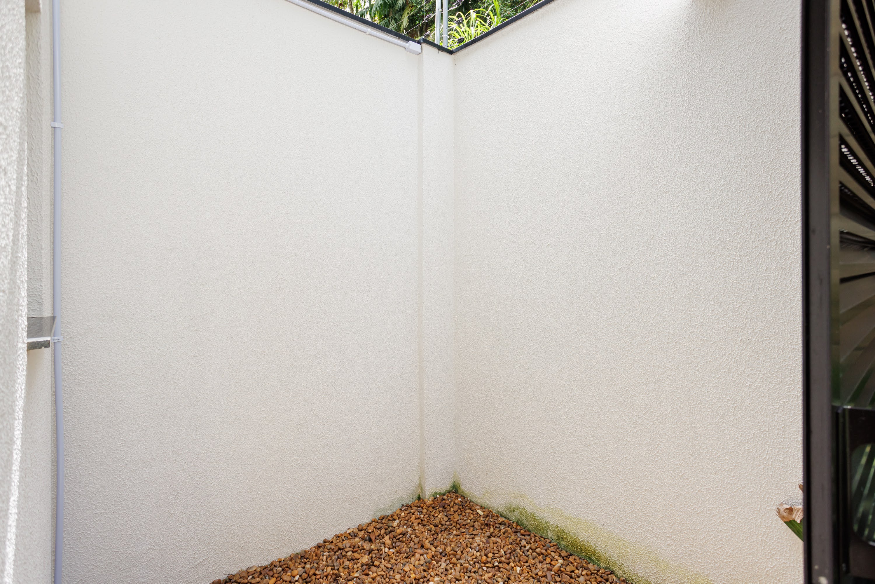 Casa, 3 quartos - Foto 19