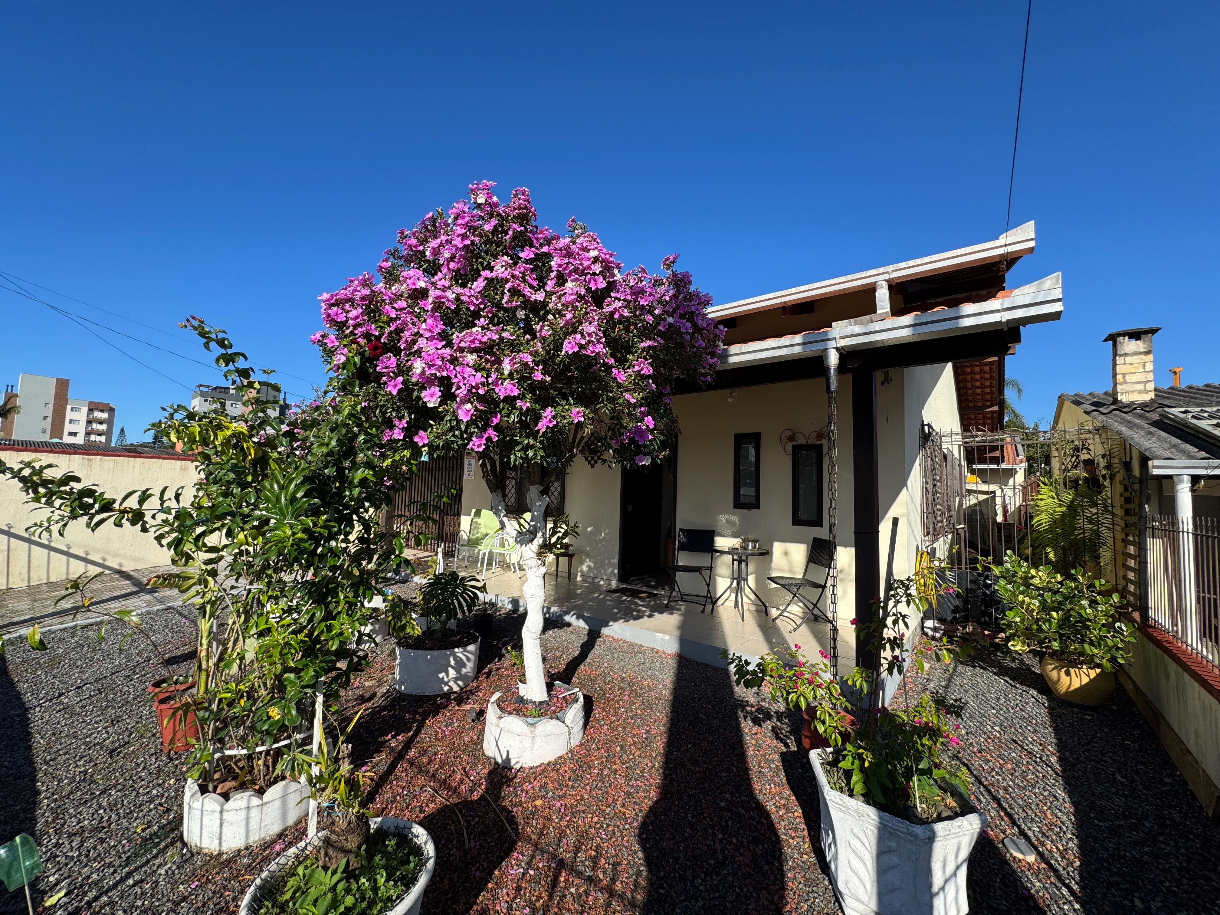 Casa, 6 quartos - Foto 7