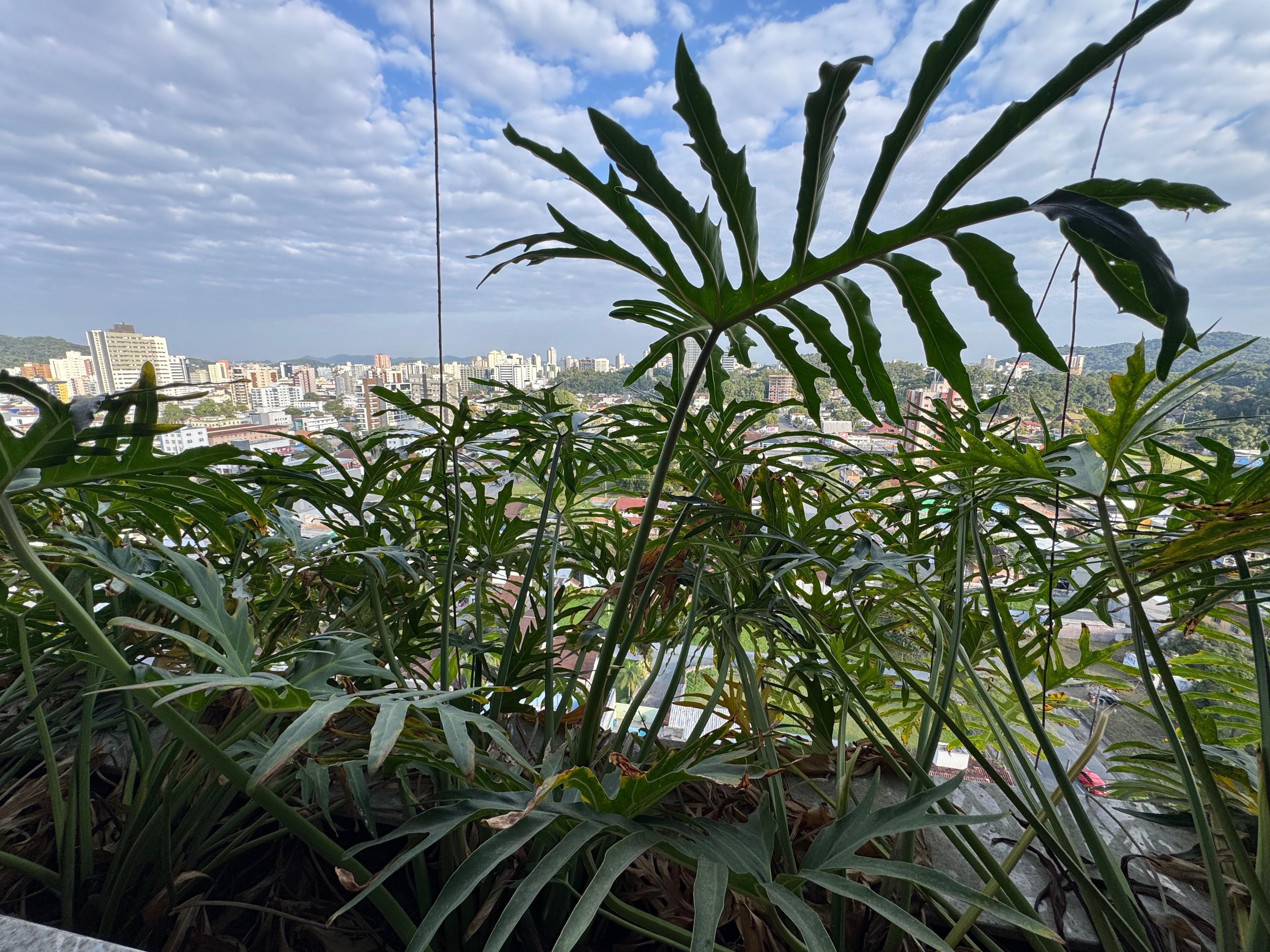 Apartamento, 3 quartos, 292 m² - Foto 41