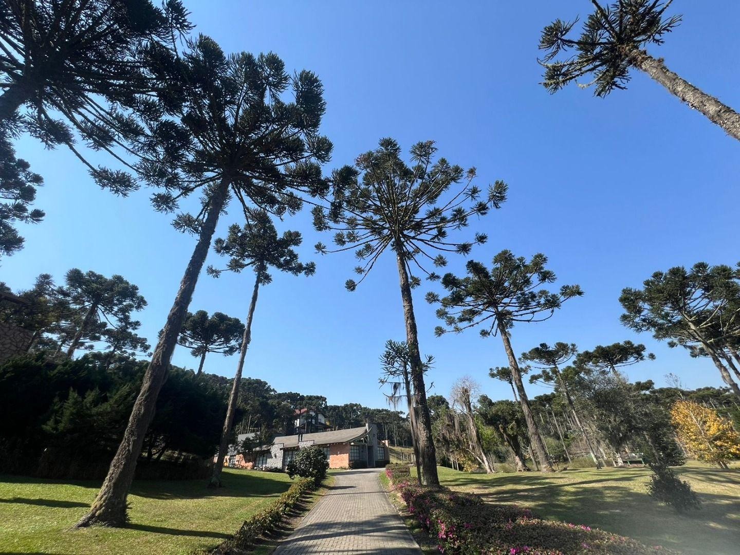 Casa, 6 quartos, 400 m² - Foto 42