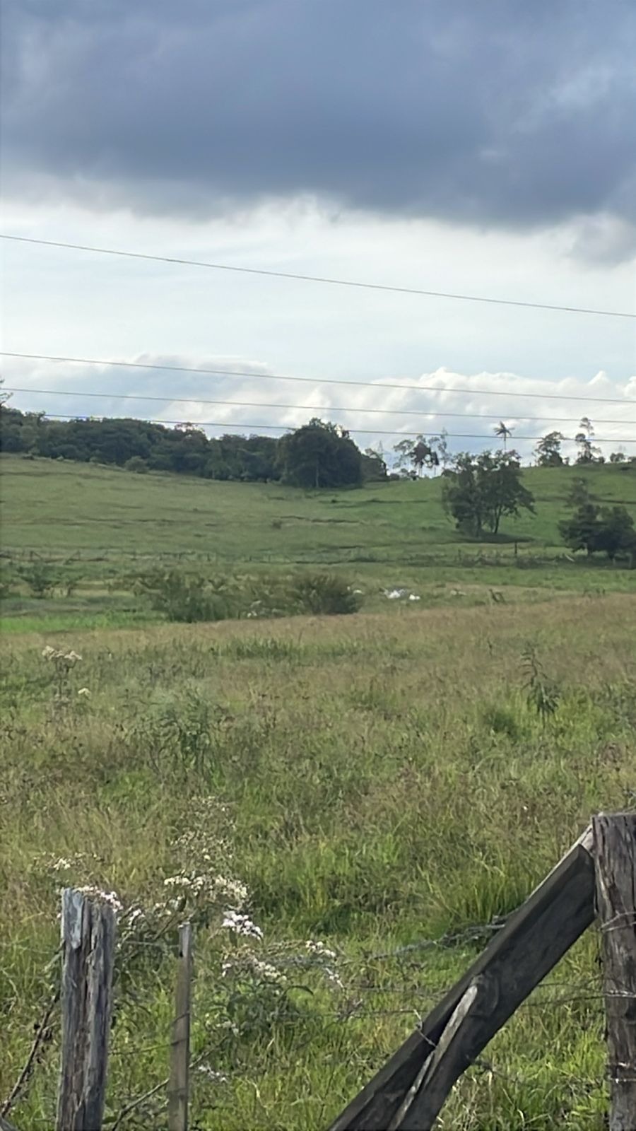 Loteamento e Condomínio, 37 hectares - Foto 2