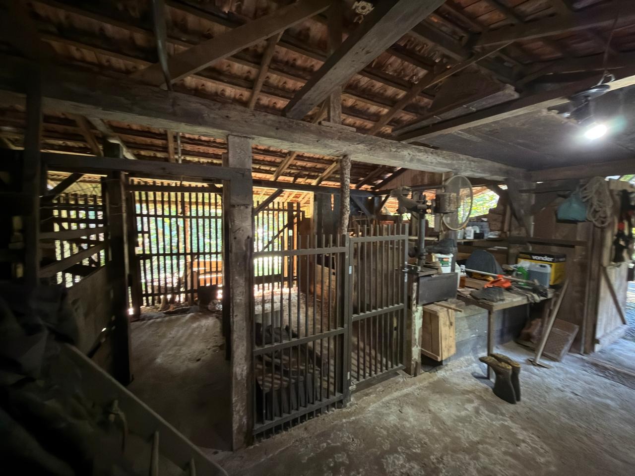 Chácara, 3 quartos - Foto 18