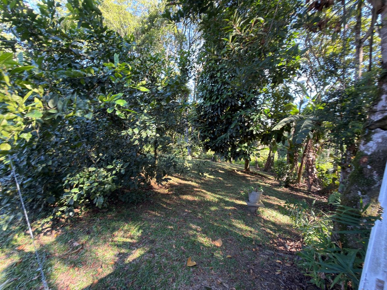 Chácara, 3 quartos - Foto 16