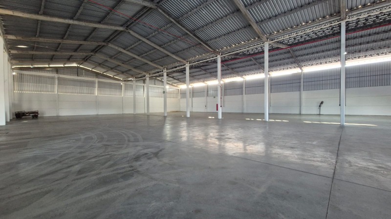 Depósito-Galpão - Foto 3