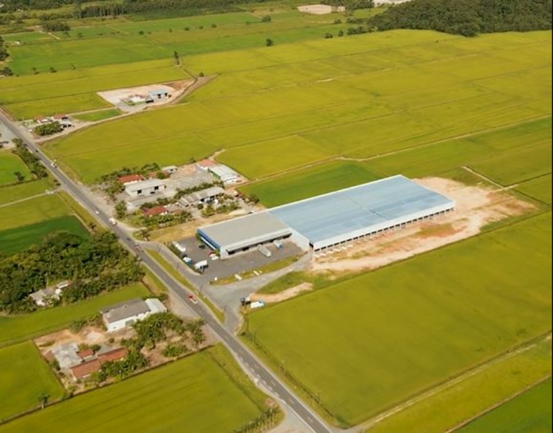 Depósito-Galpão - Foto 10