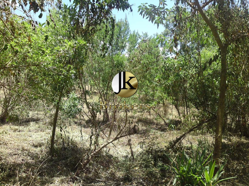Terreno em VILA DARCY PENTEADO (MAILASQUI), SÃO ROQUE - Vendo Terreno em Condomínio de São Roque - SP