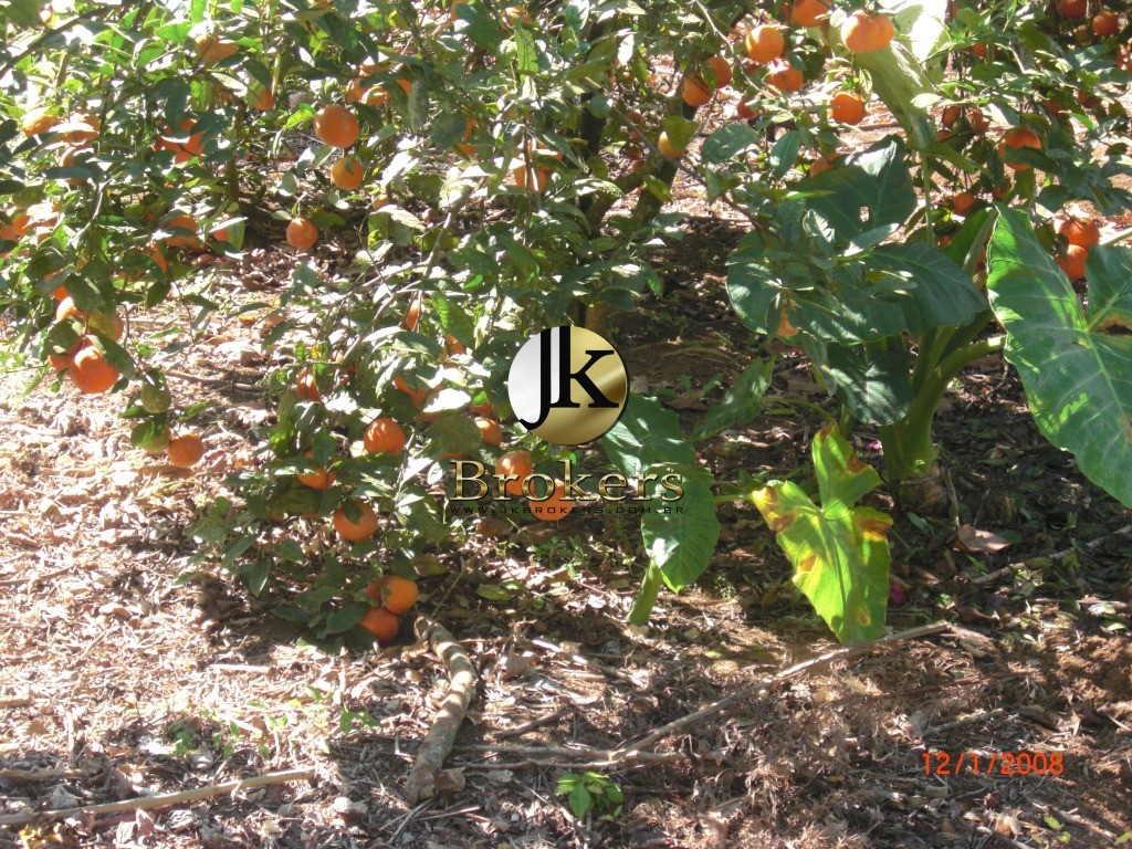 CHACARA no CENTRO, IBIÚNA - Foto 26