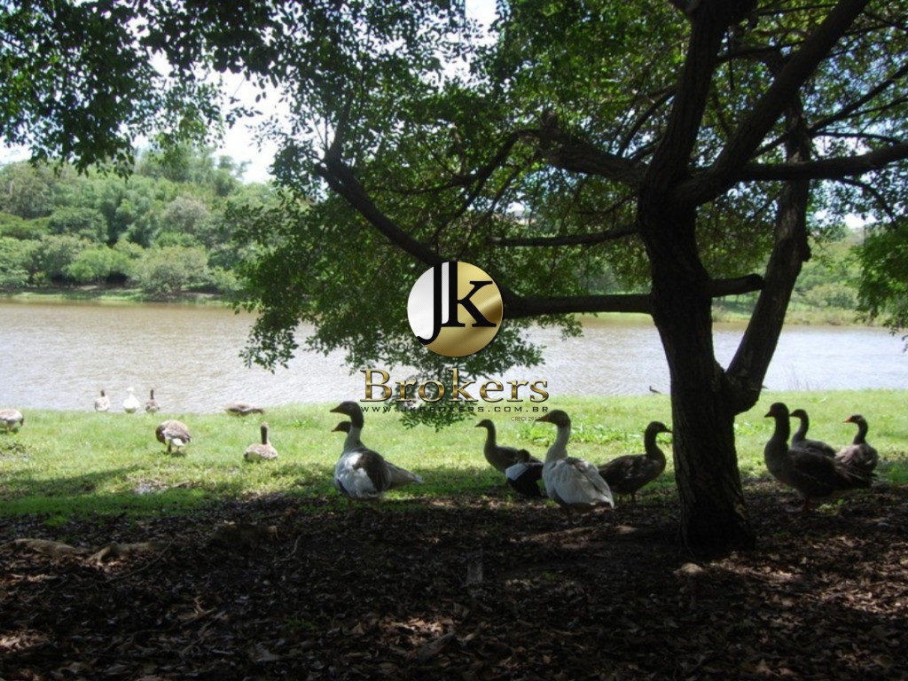 COMERCIAL em APARECIDINHA, SOROCABA - COMERCIAL - SOROCABA - Foto 15
