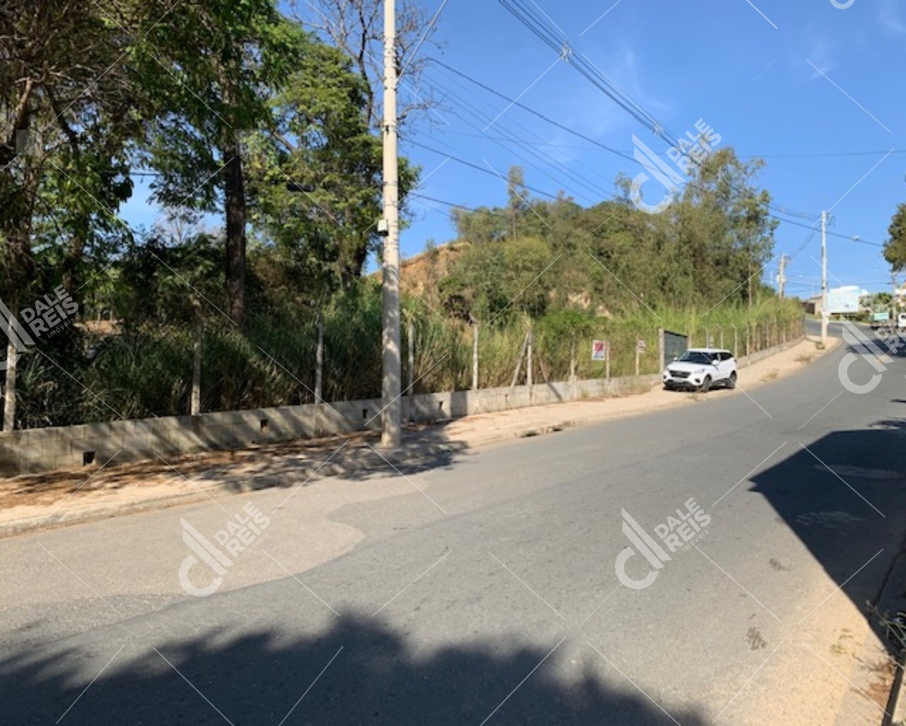 Terreno, 5320 m² - Foto 5
