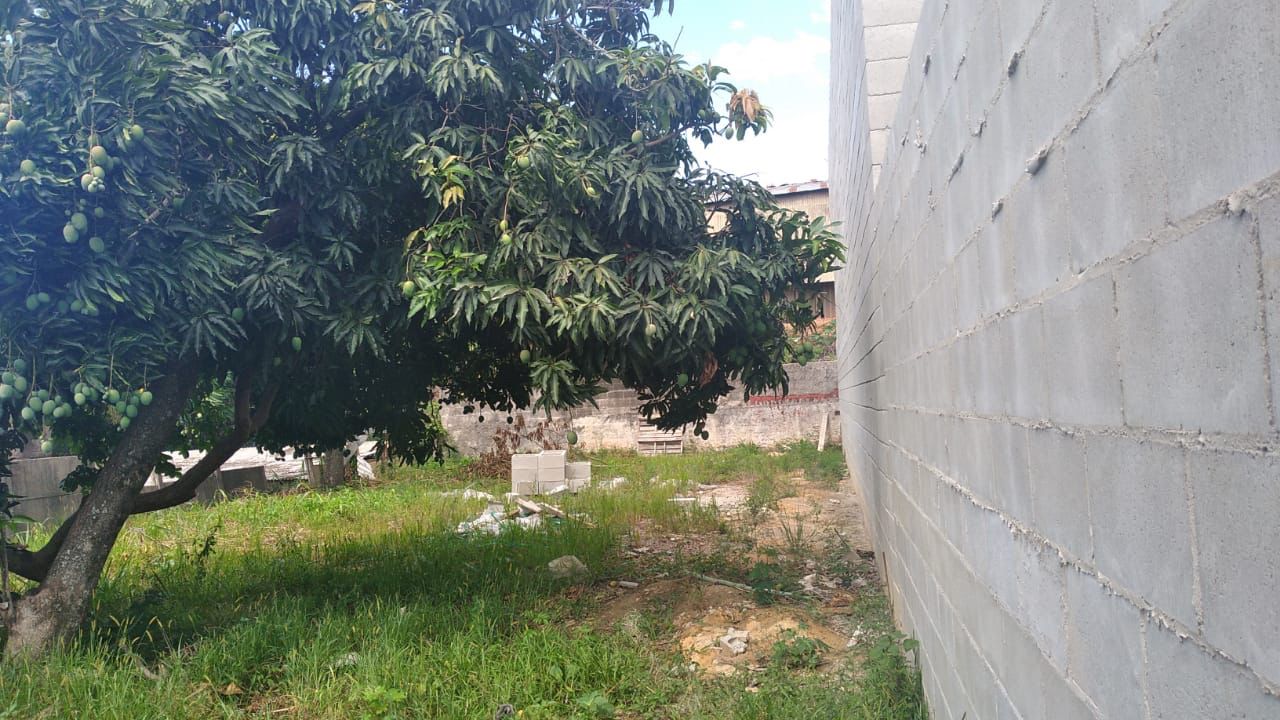 Terreno, 250 m² - Foto 2