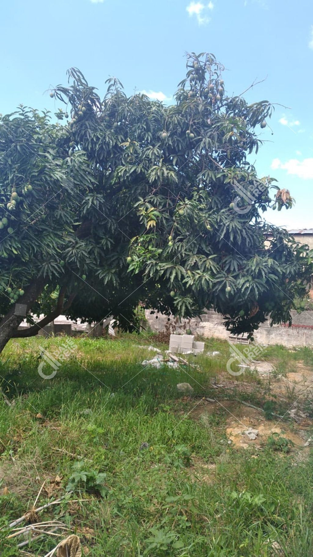 Terreno, 250 m² - Foto 10