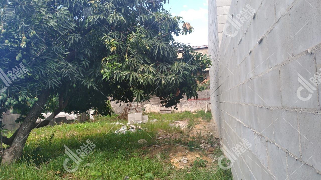 Terreno, 250 m² - Foto 6