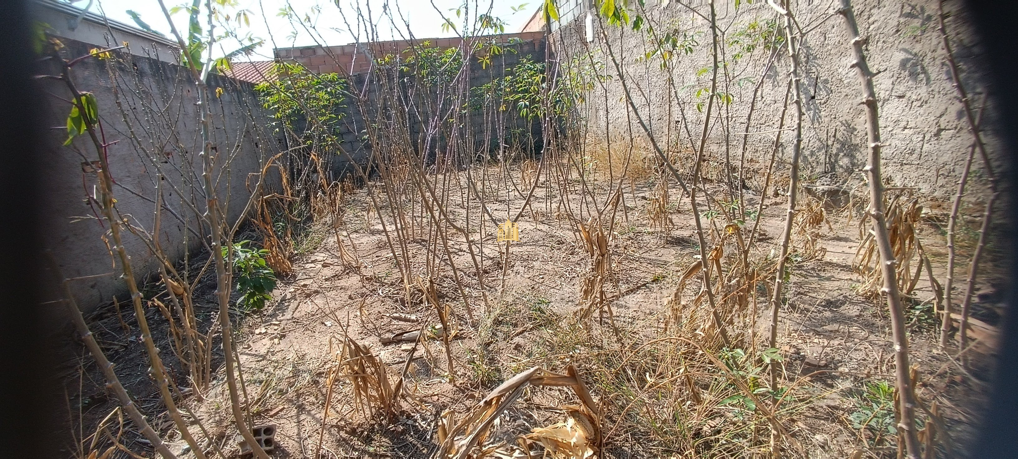 Casa, 1 quarto, 360 m² - Foto 5