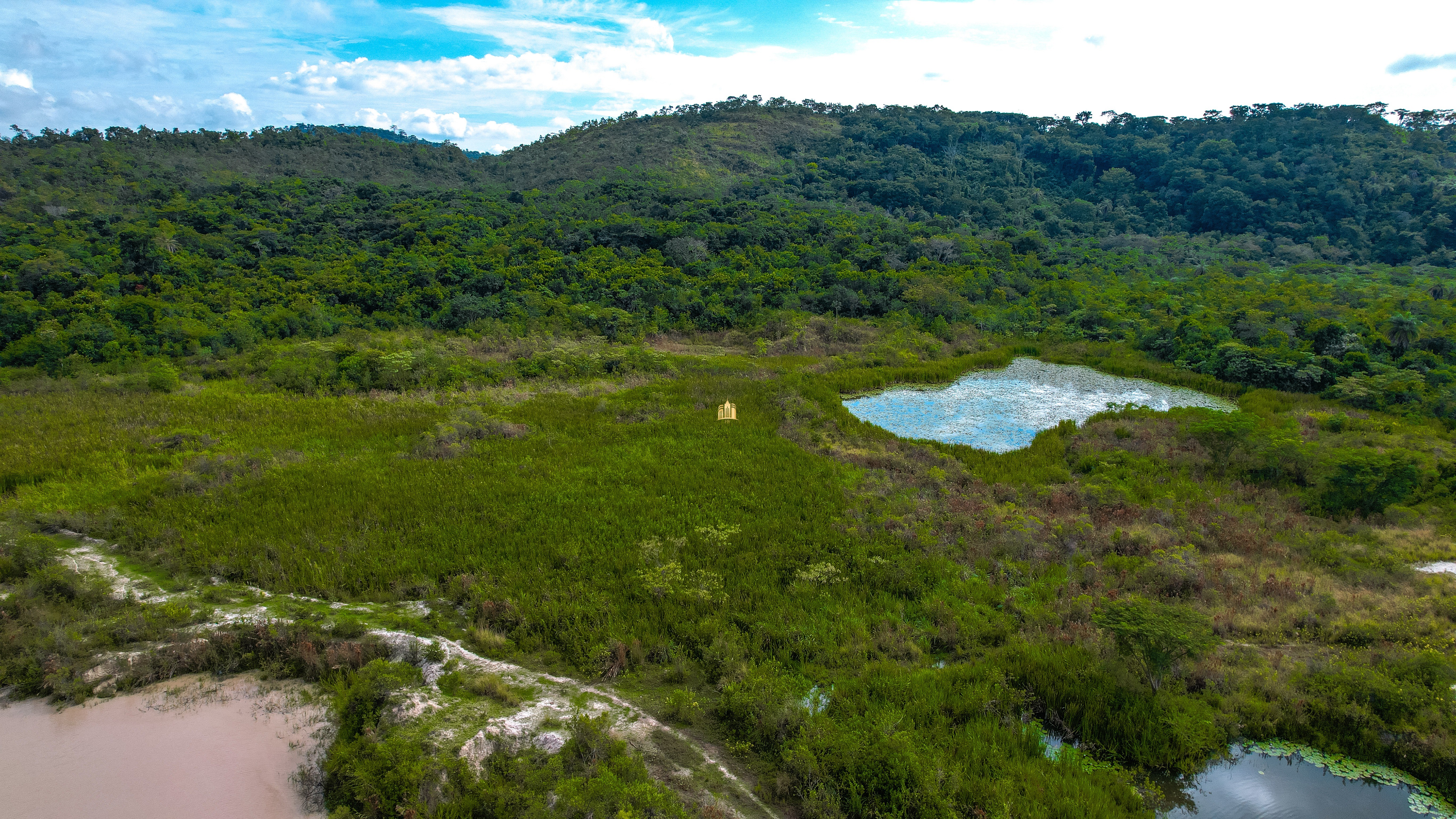 Terreno, 22 hectares - Foto 10
