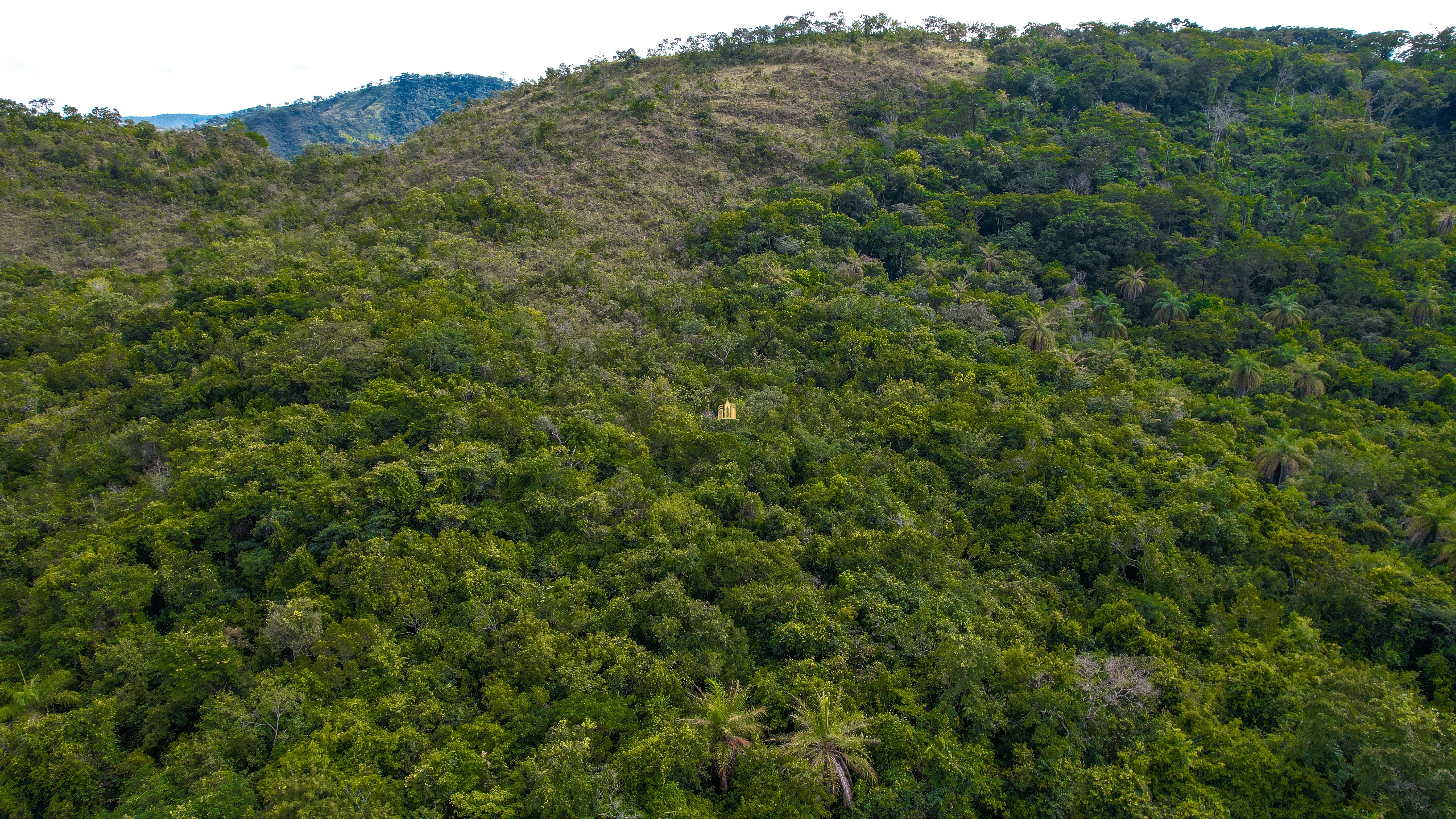 Terreno, 22 hectares - Foto 15
