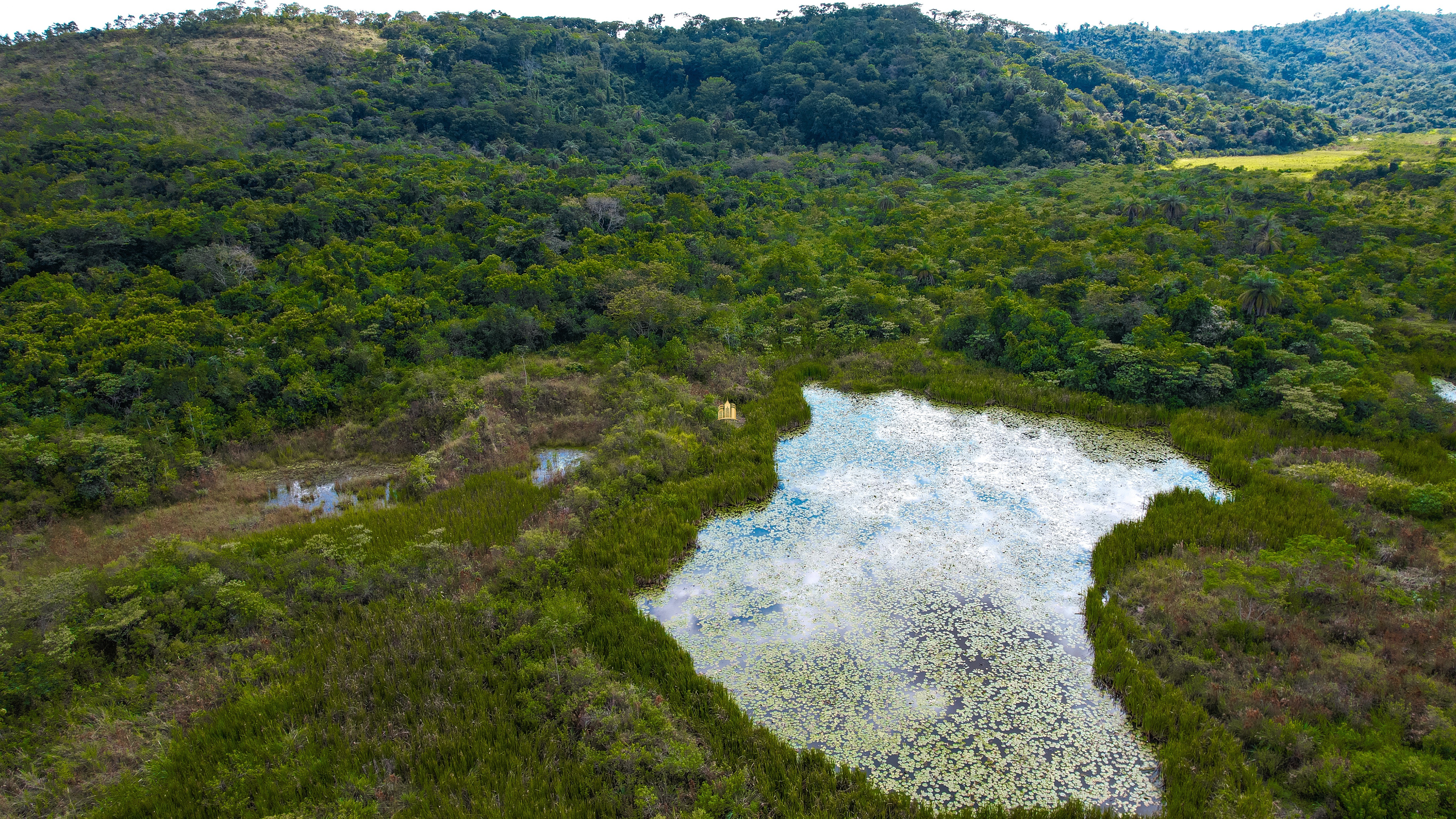 Terreno, 22 hectares - Foto 11