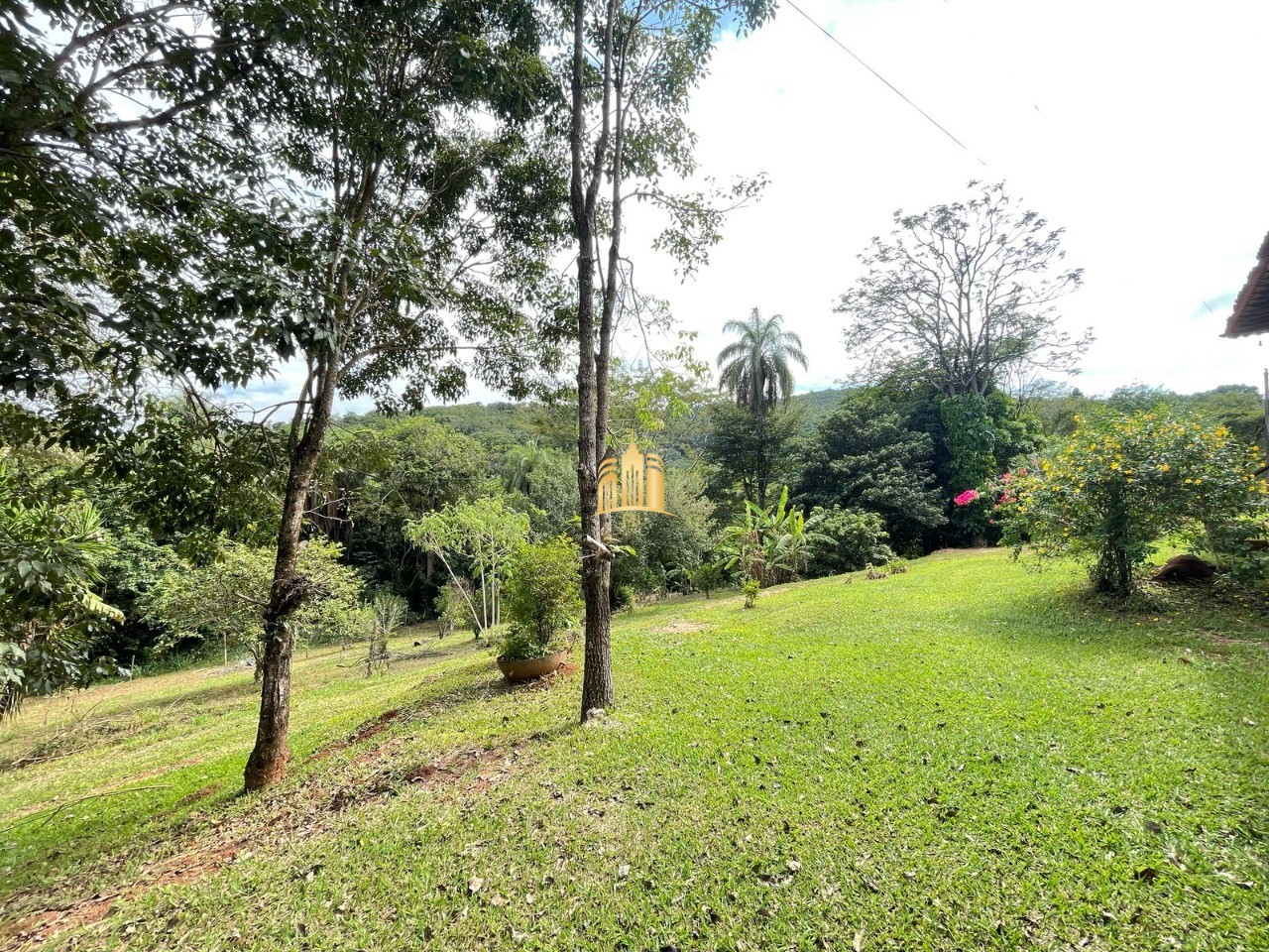 Sítio, 5 quartos, 4 hectares - Foto 31