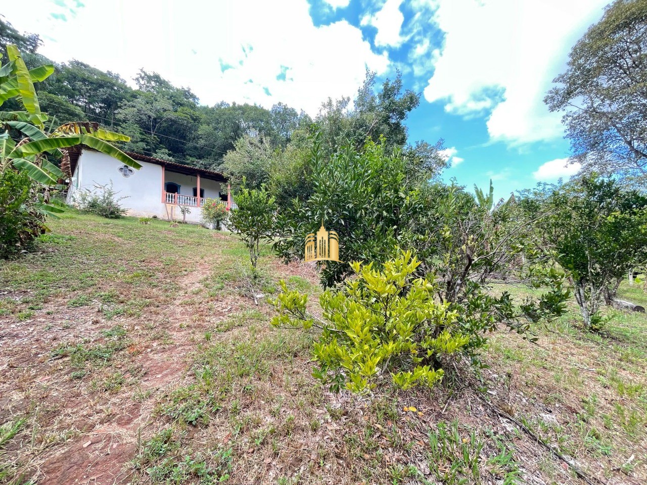 Sítio, 5 quartos, 4 hectares - Foto 11