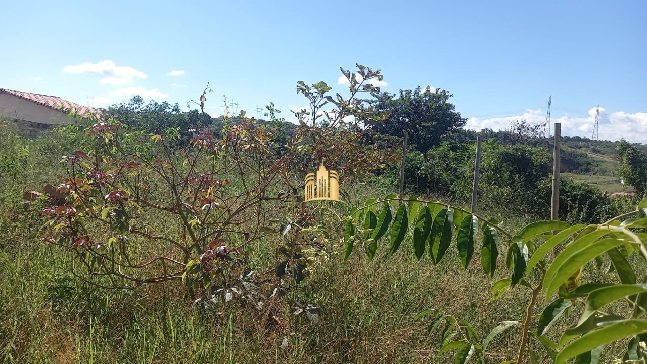 Terreno, 381 m² - Foto 4