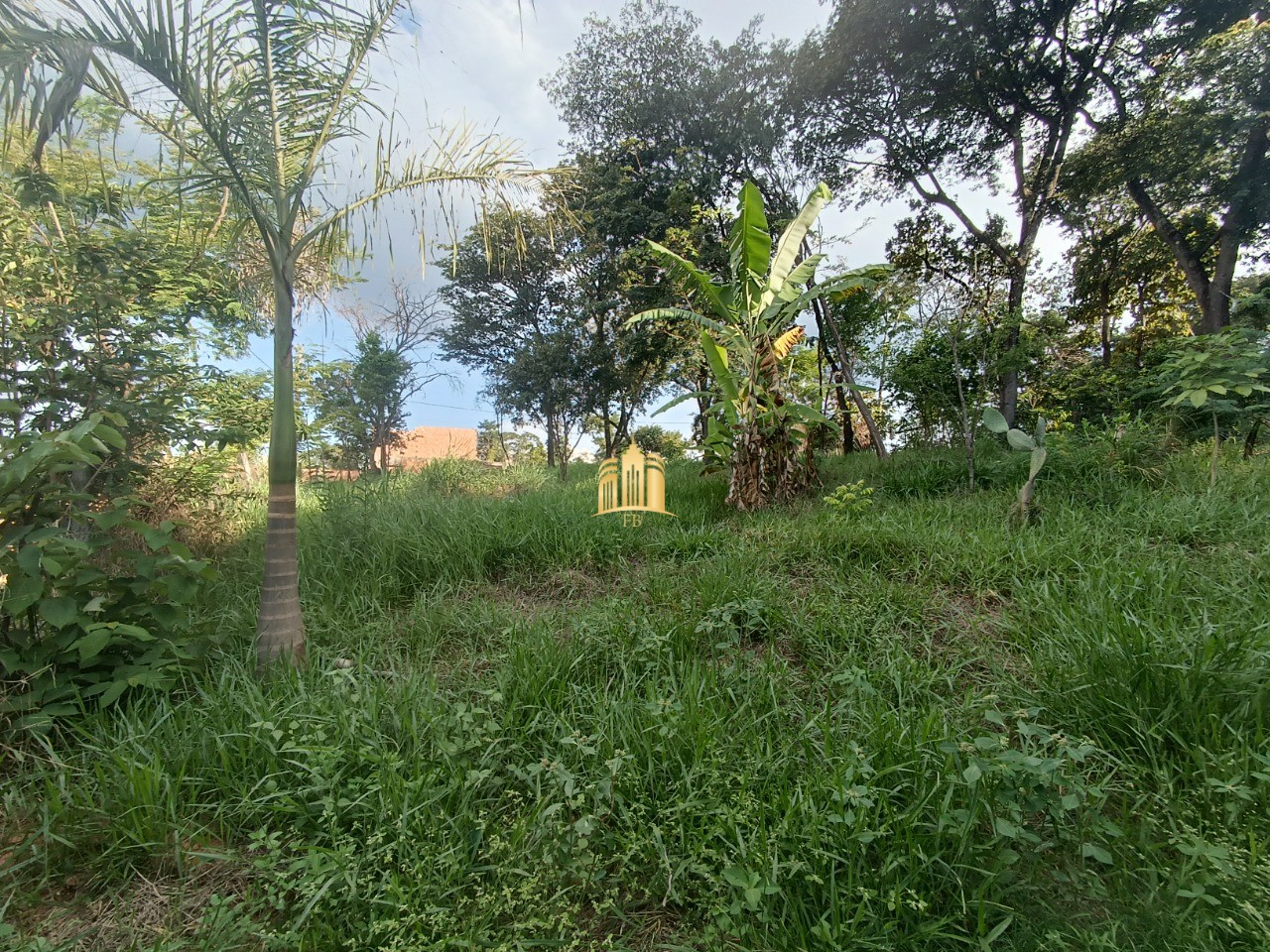 Sítio, 4 quartos, 2000 m² - Foto 26