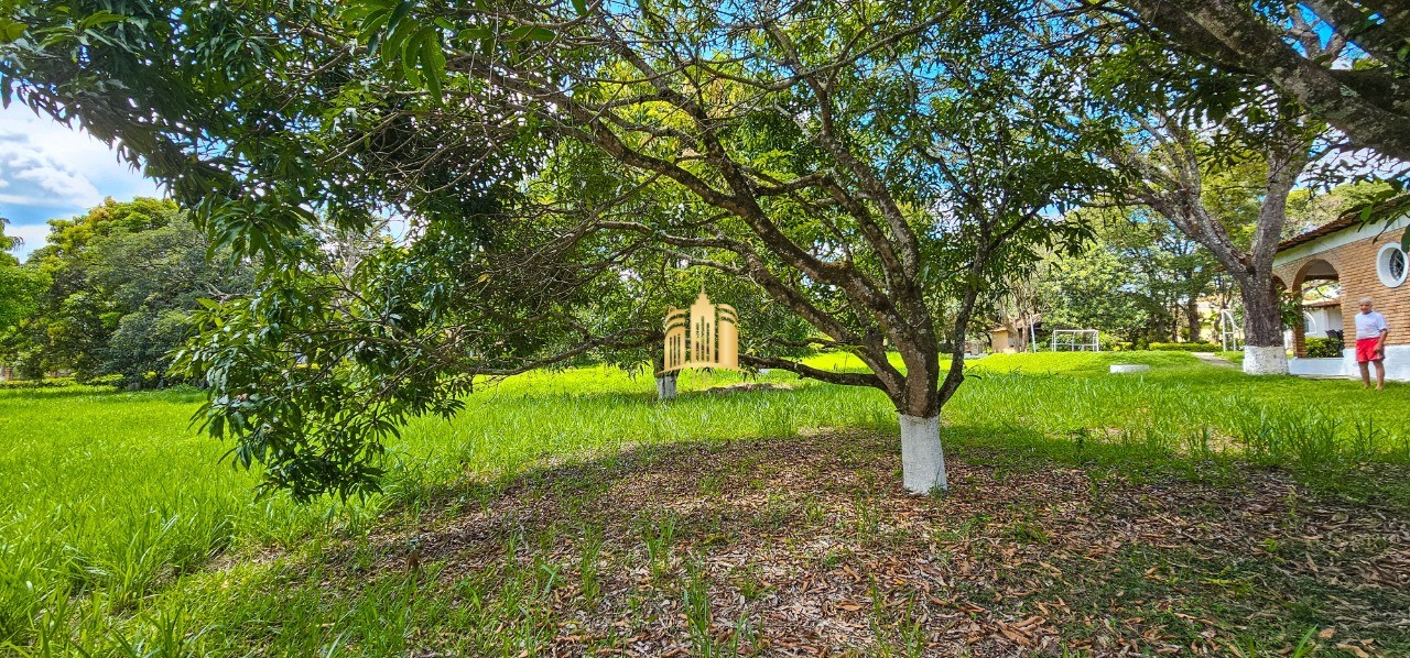 Terreno, 1462 m² - Foto 3