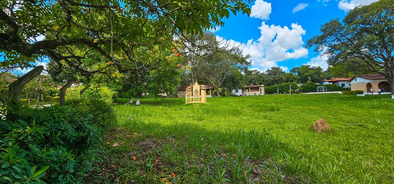 Terreno, 1462 m² - Foto 13