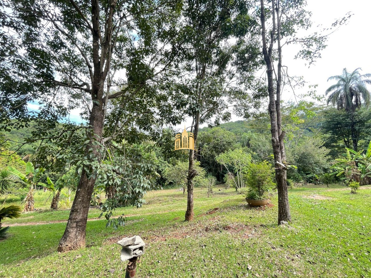 Sítio, 5 quartos, 4 hectares - Foto 34