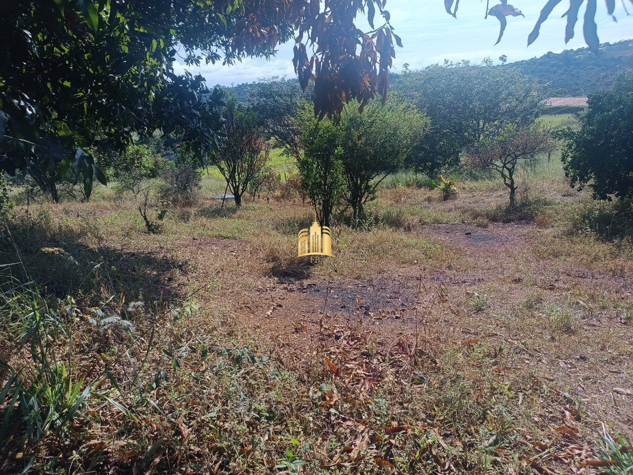 Sítio, 6 quartos, 5000 m² - Foto 9