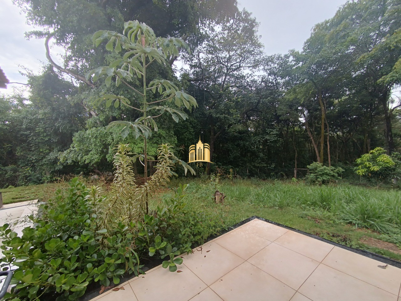 Sítio, 3 quartos, 5000 m² - Foto 26