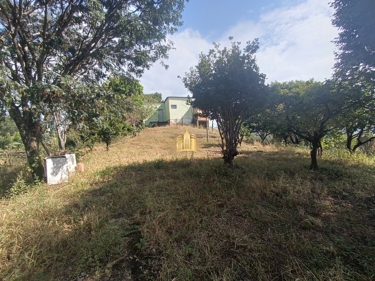 Sítio, 6 quartos, 5000 m² - Foto 13