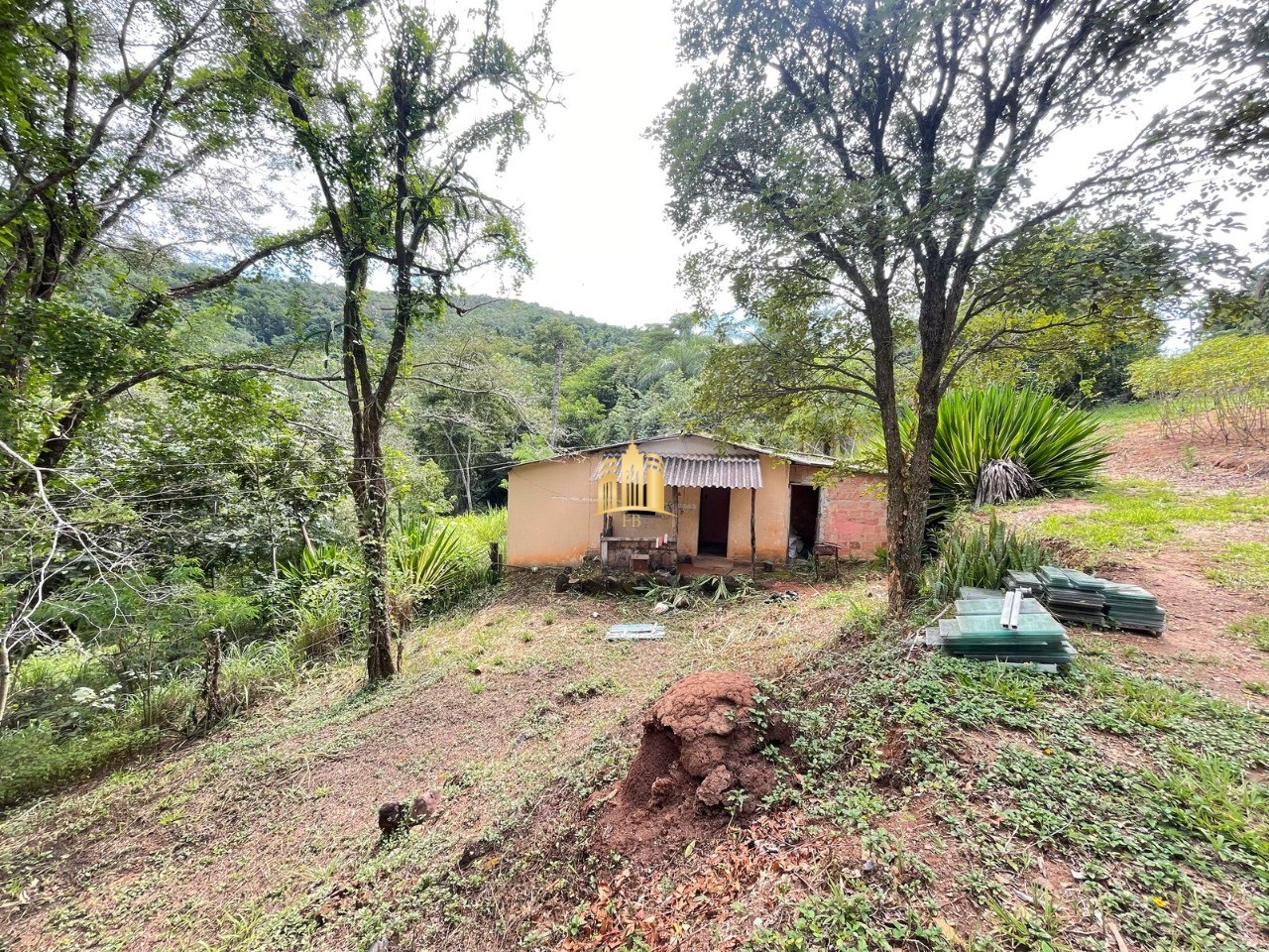 Sítio, 5 quartos, 4 hectares - Foto 19