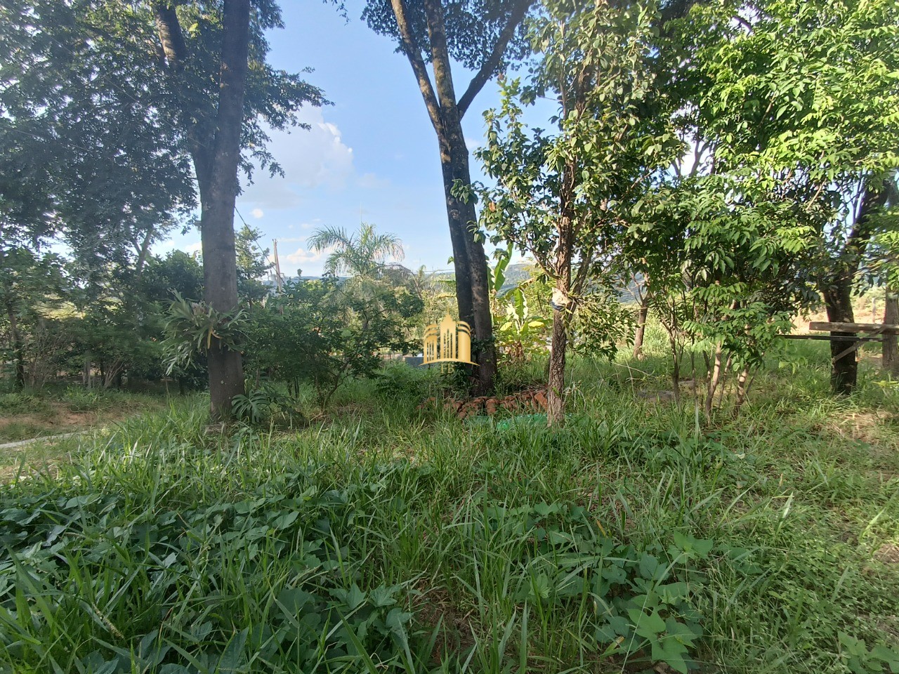 Sítio, 4 quartos, 2000 m² - Foto 6