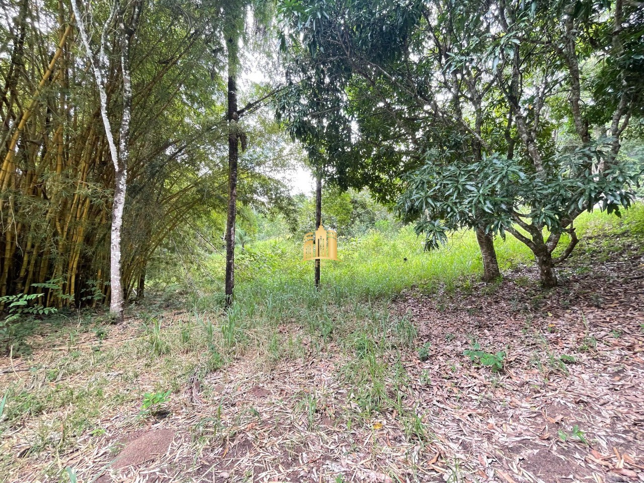 Sítio, 5 quartos, 4 hectares - Foto 14