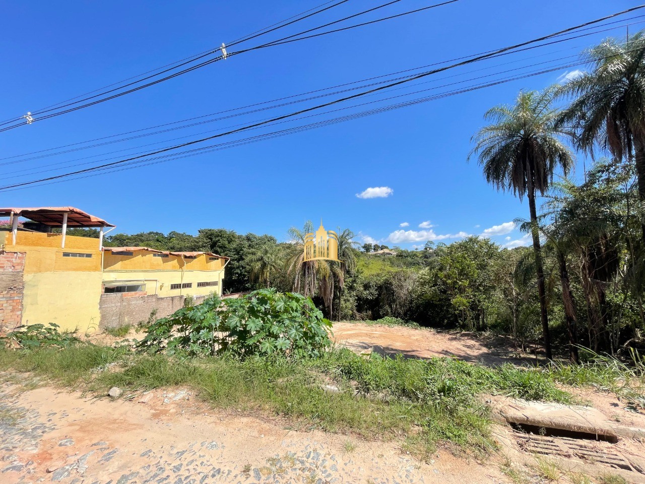 Terreno, 5000 m² - Foto 7