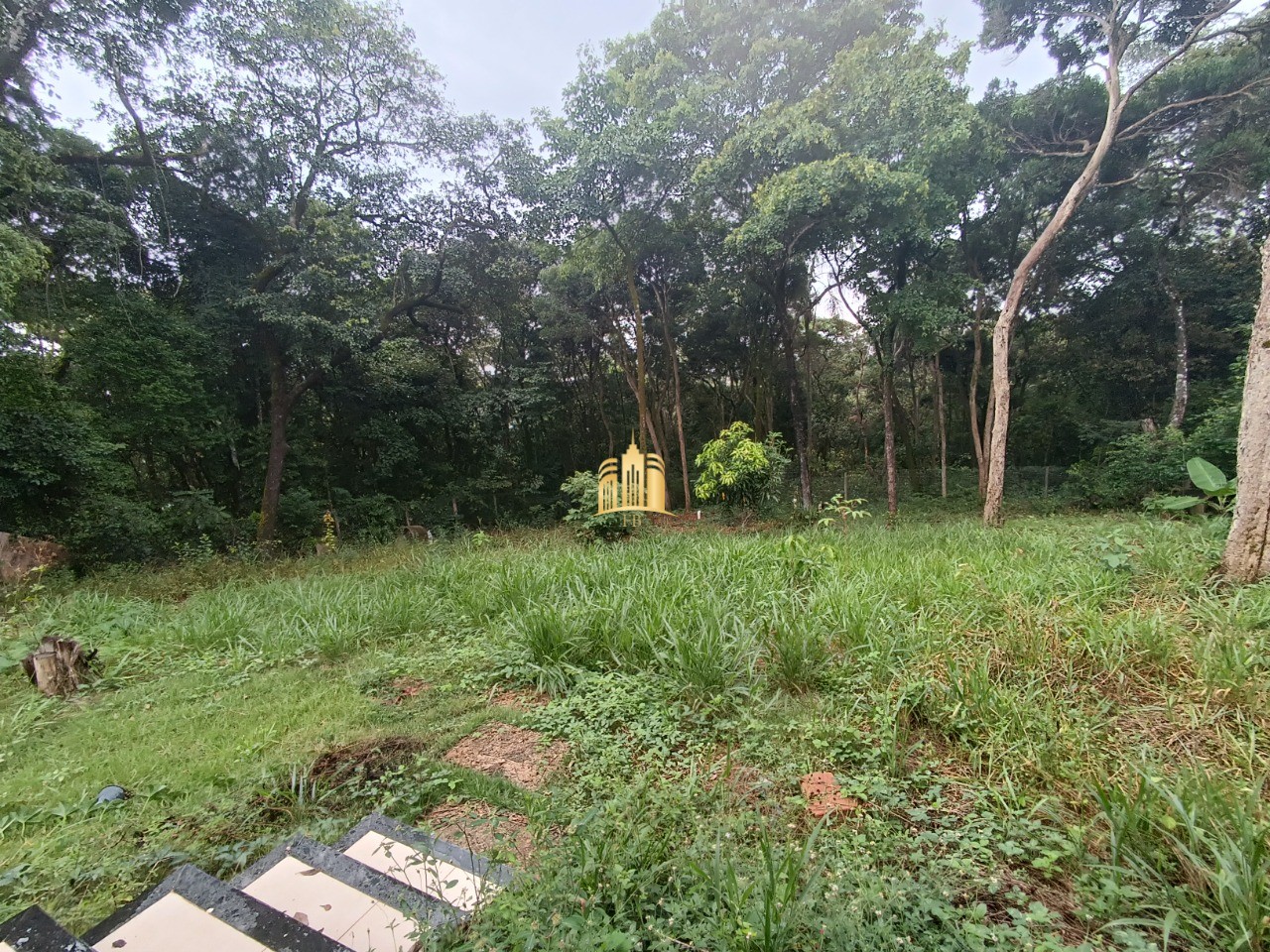 Sítio, 3 quartos, 5000 m² - Foto 27