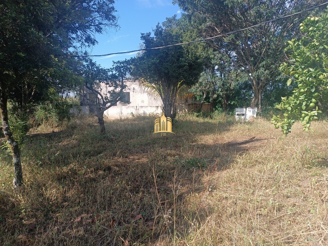 Sítio, 6 quartos, 5000 m² - Foto 5