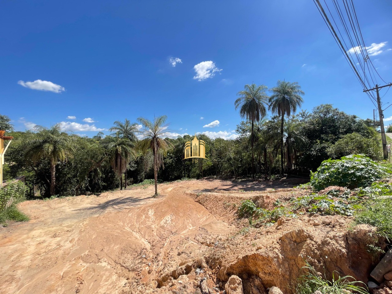 Terreno, 5000 m² - Foto 3