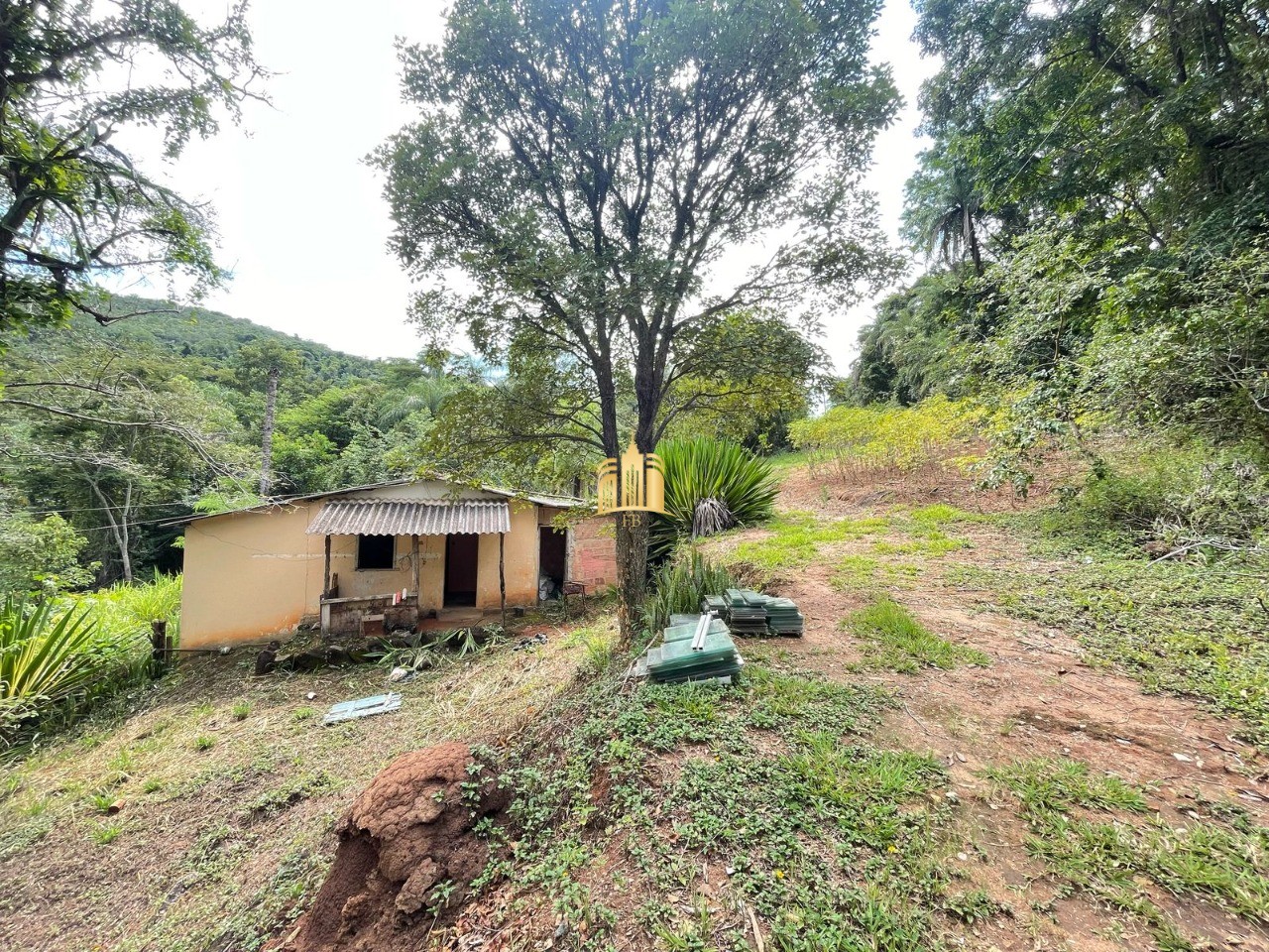 Sítio, 5 quartos, 4 hectares - Foto 16