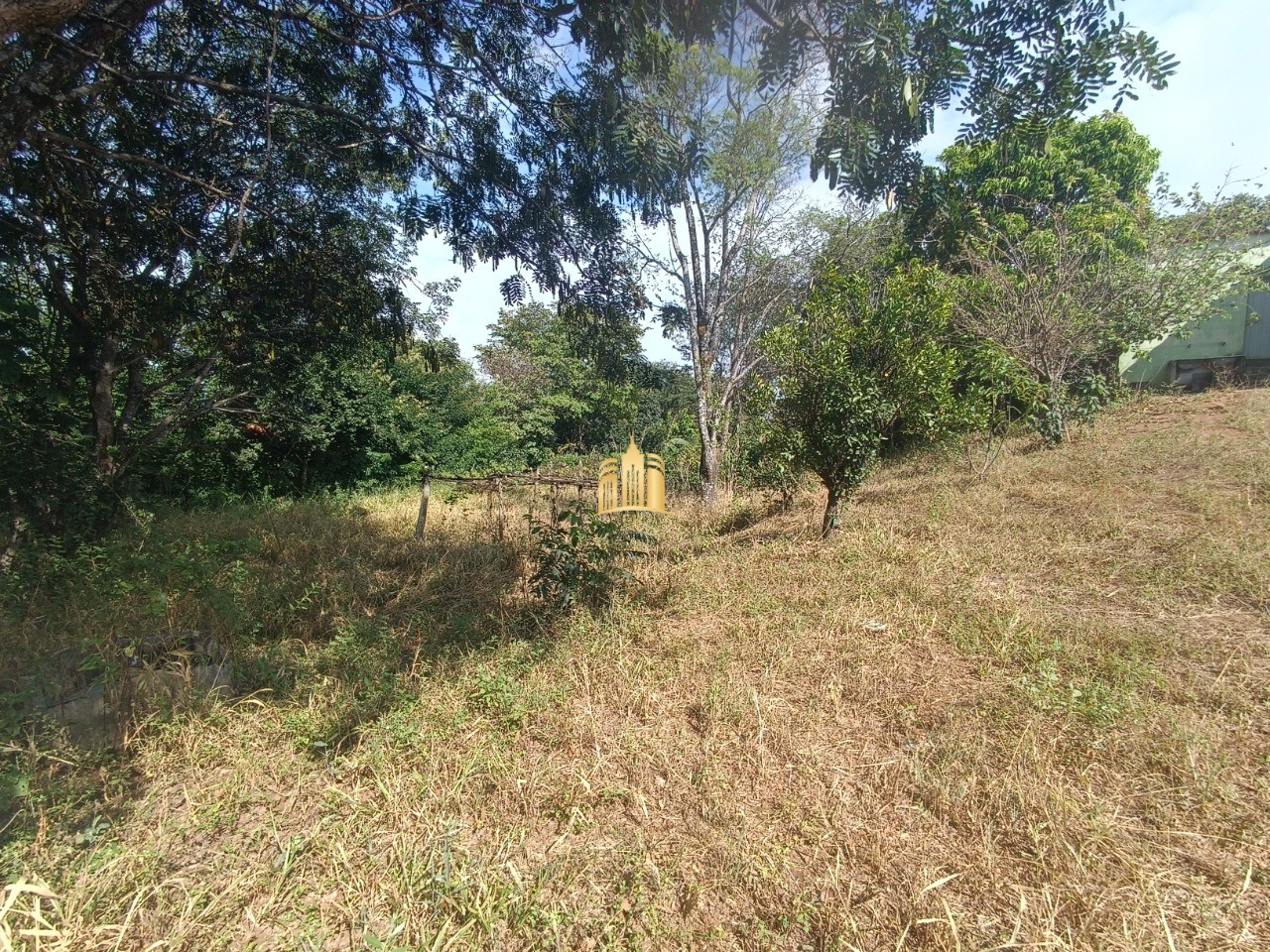 Sítio, 6 quartos, 5000 m² - Foto 15