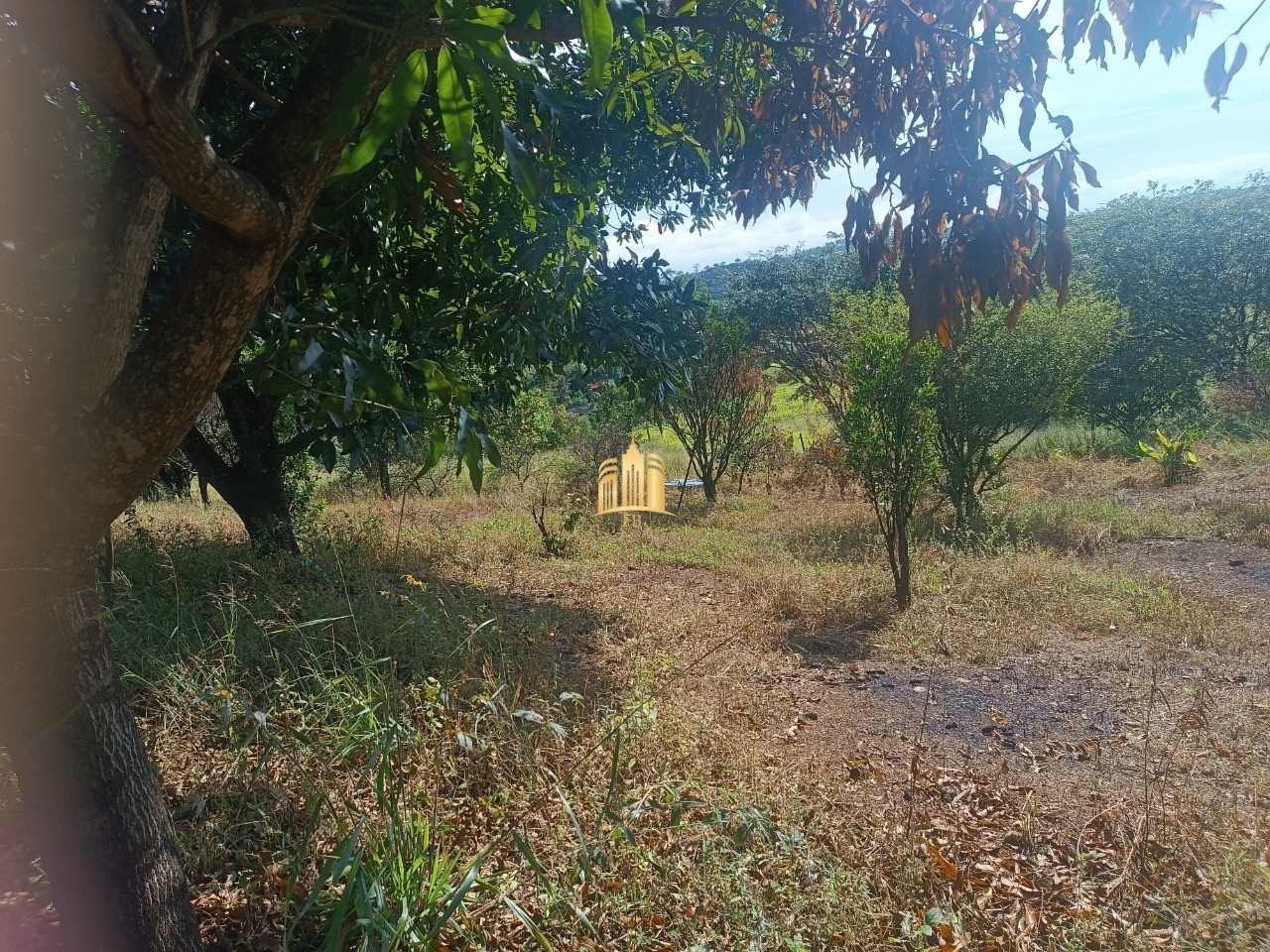 Sítio, 6 quartos, 5000 m² - Foto 1