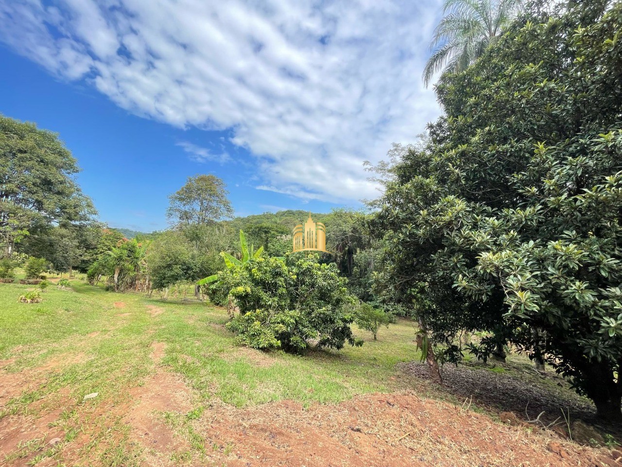 Sítio, 5 quartos, 4 hectares - Foto 36